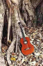 LGEM - The Music of Robert David Billington and Friends